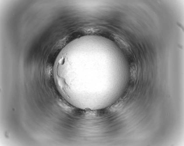 X0000093410574200711020957