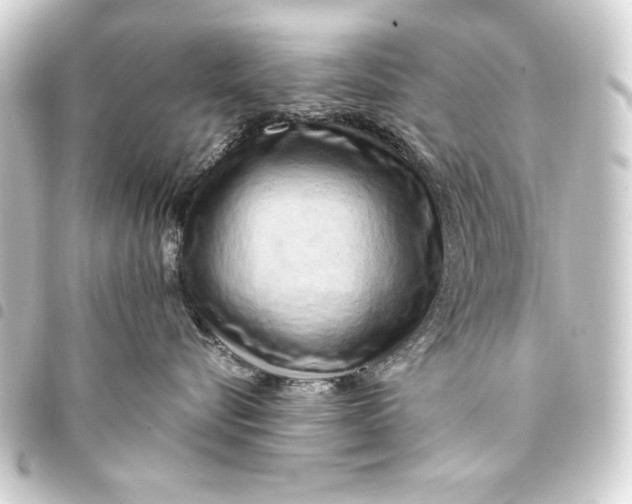 X0000093410576200711020957