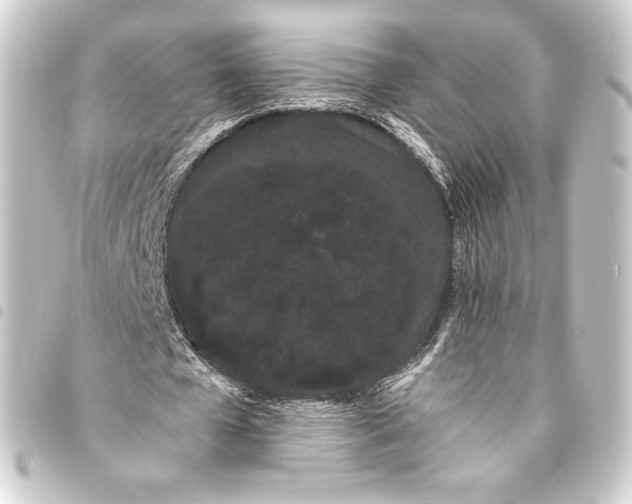 X0000093410577200711020957