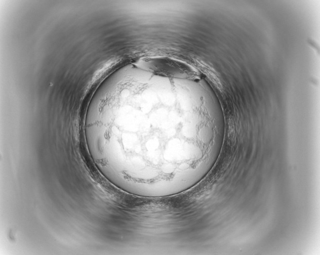 X0000093410578200711020957