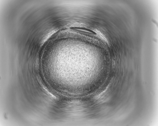 X0000093410581200711020957