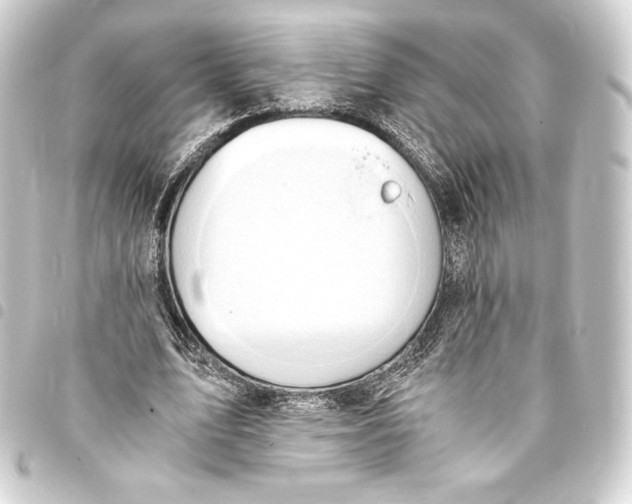 X0000093410583200711020957