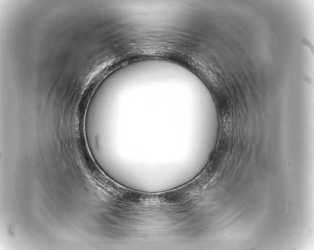 X0000093410587200711020957