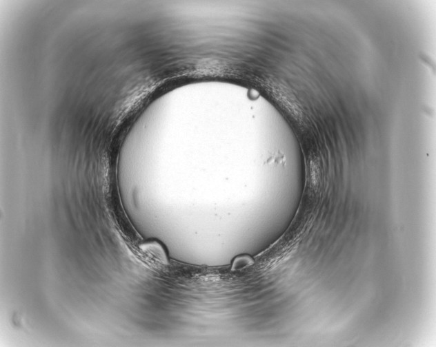 X0000093410588200711020957