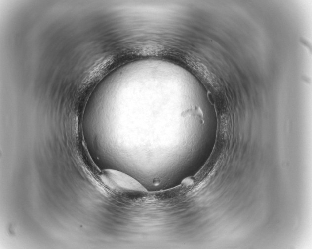 X0000093410589200711020957