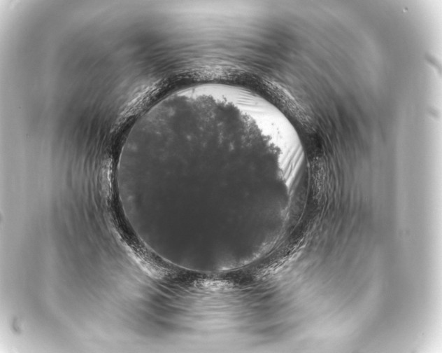 X0000093410590200711020957