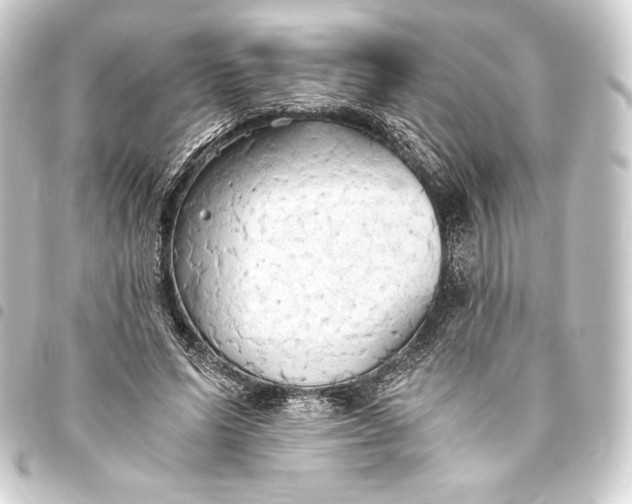 X0000093410591200711020957