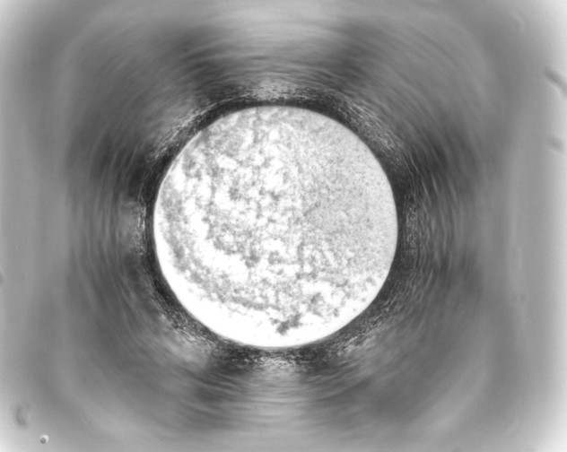 X0000093410592200711020957