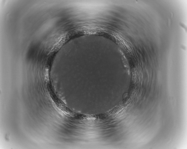 X0000093410598200711020957