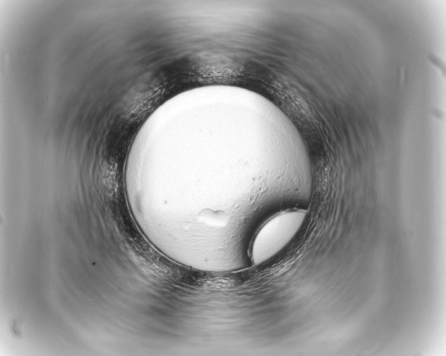 X0000093410599200711020957