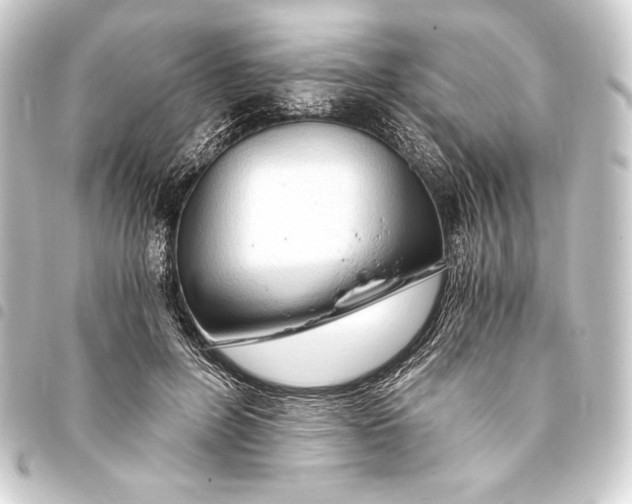 X0000093410600200711020957