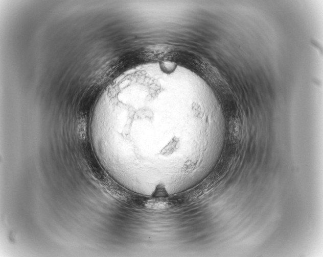 X0000093410602200711020957