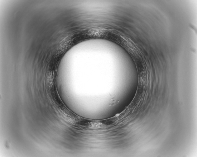 X0000093410605200711020957