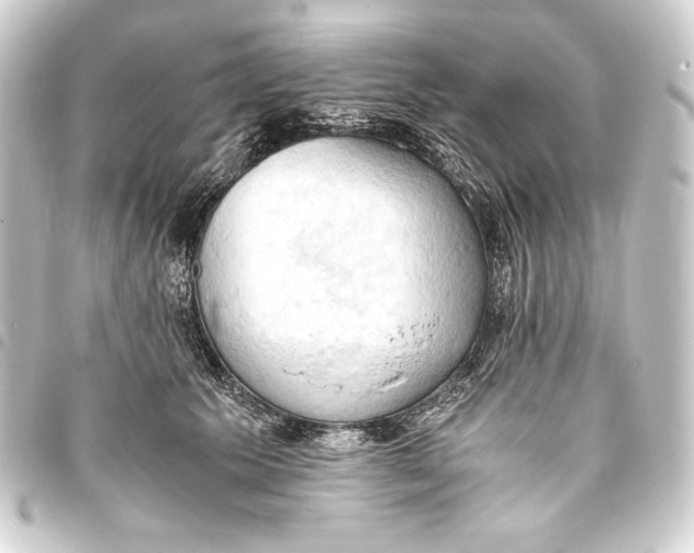 X0000093410609200711020957