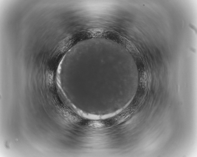 X0000093410610200711020957