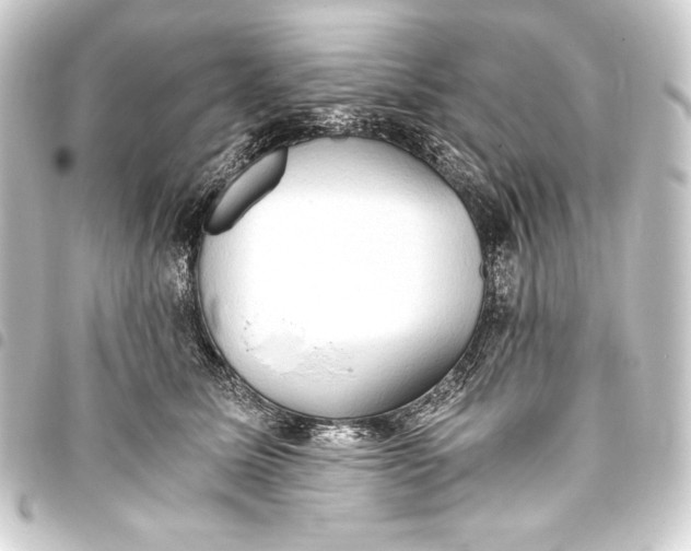 X0000093410611200711020957