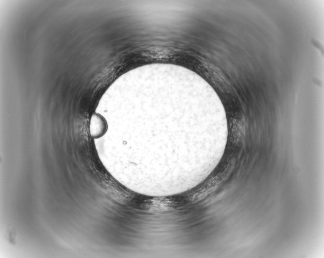 X0000093410612200711020957