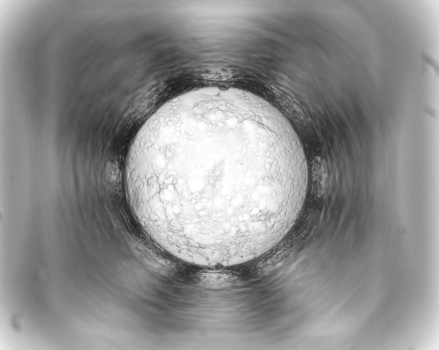 X0000093410614200711020956