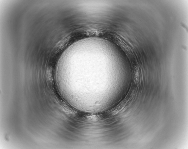 X0000093410616200711020956