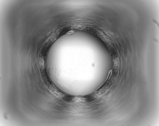 X0000093410617200711020956