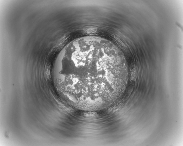 X0000093410618200711020956