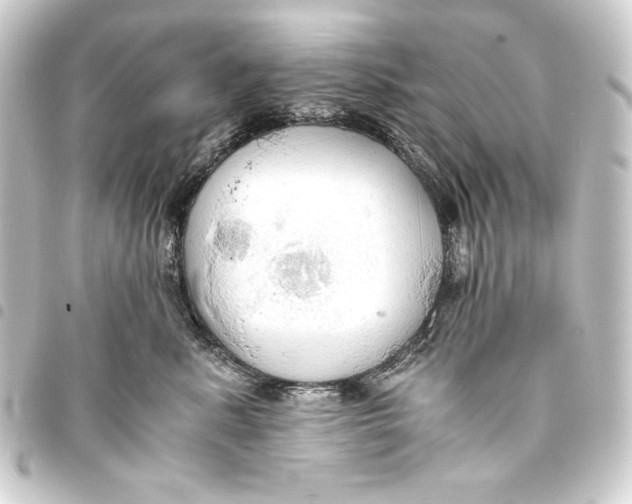 X0000093410619200711020956