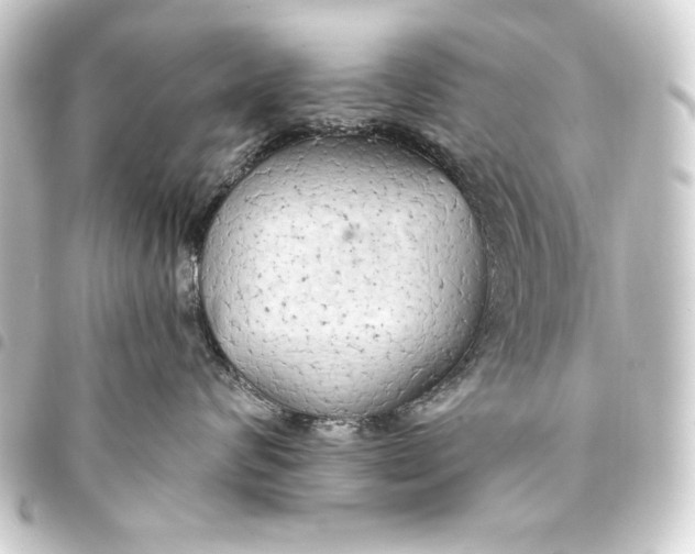 X0000093410624200711020956