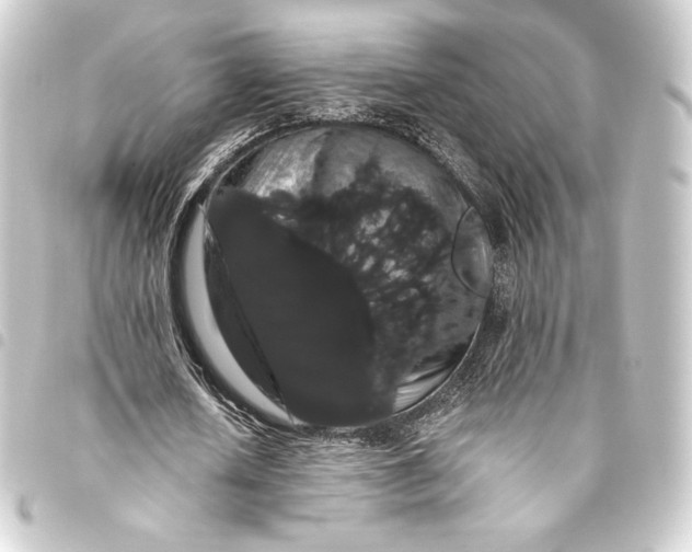 X0000093410626200711020956