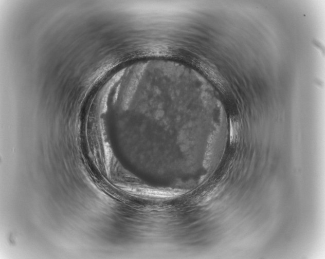 X0000093410627200711020956