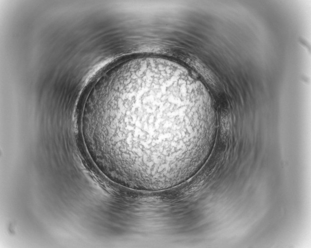 X0000093410628200711020956