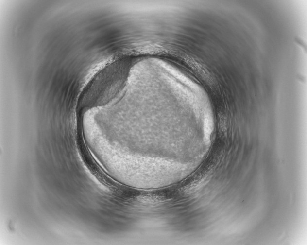 X0000093410630200711020956