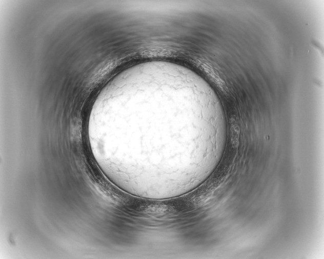 X0000093410631200711020956