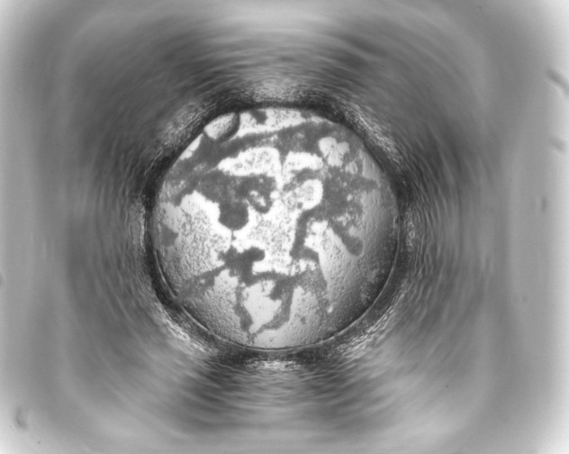 X0000093410637200711020956