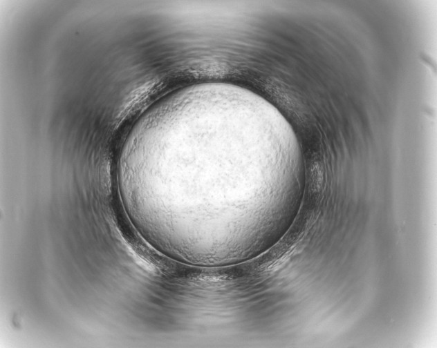 X0000093410638200711020956