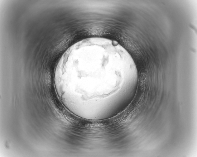 X0000093410639200711020956