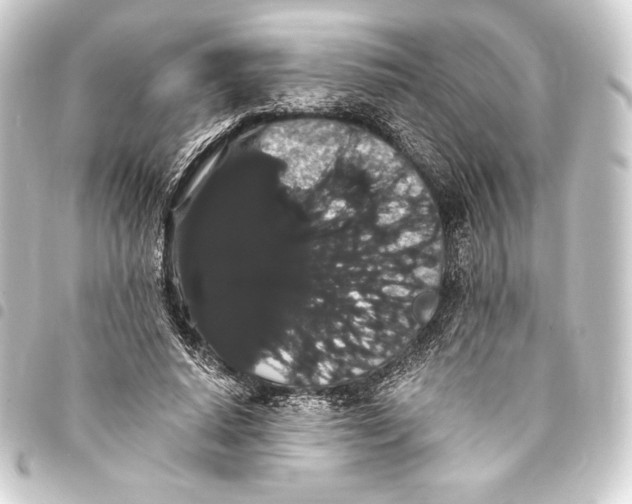 X0000093410640200711020956