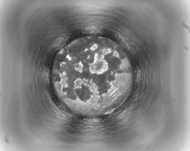 X0000093410643200711020956