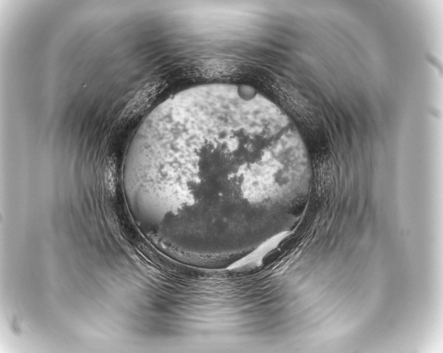 X0000093410644200711020956