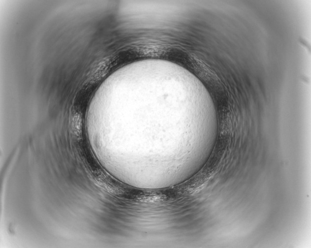 X0000093410646200711020956