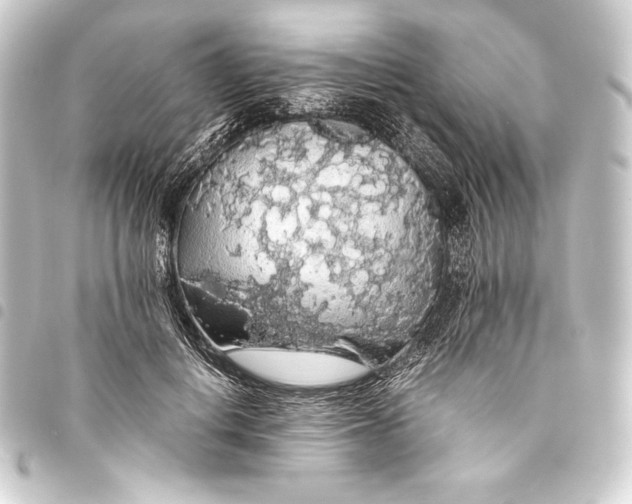 X0000093410648200711020956