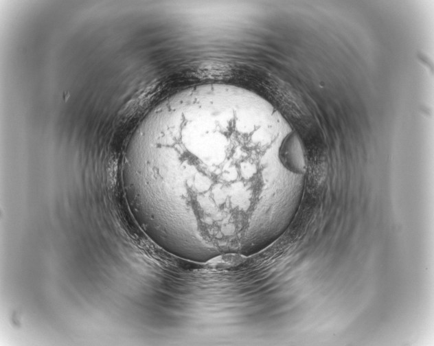 X0000093410652200711020956