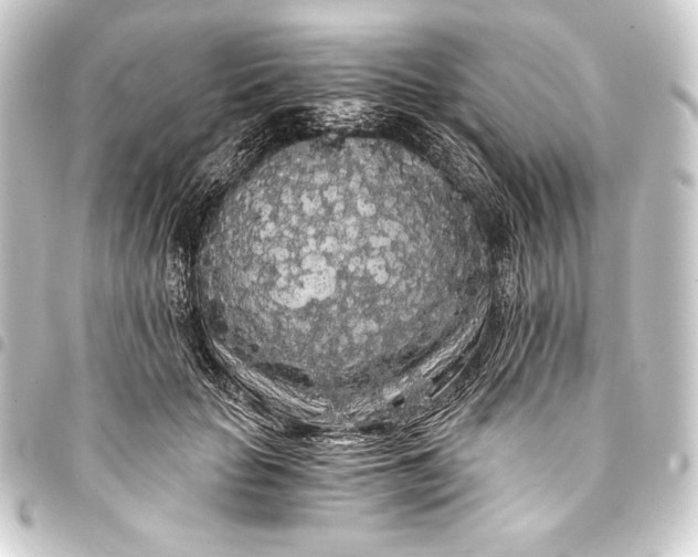 X0000093410653200711020956