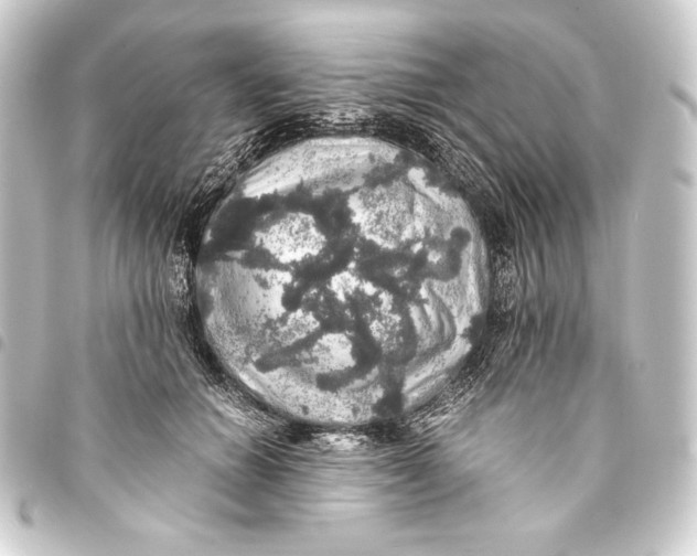 X0000093410654200711020956