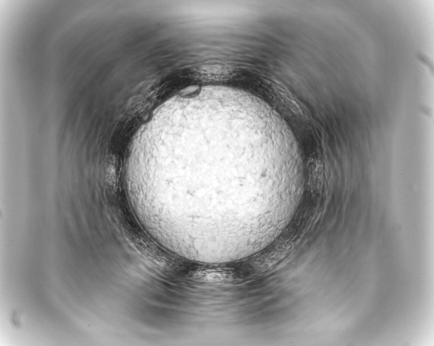 X0000093410655200711020956