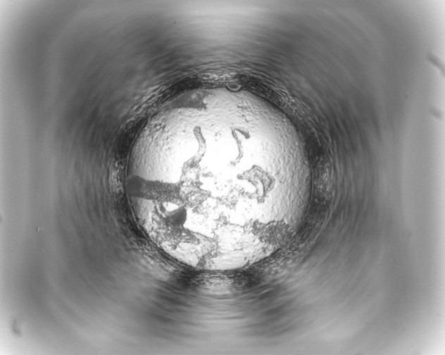 X0000093410658200711020956