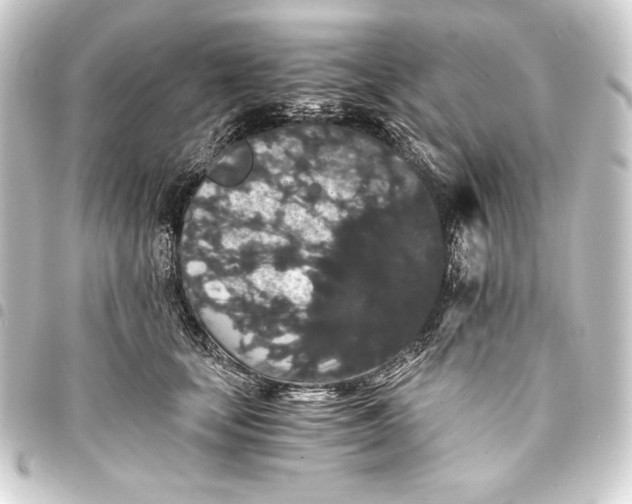 X0000093410659200711020956