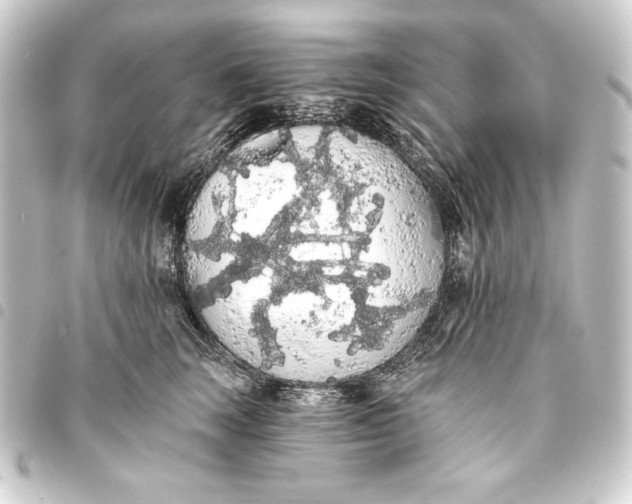 X0000093410663200711020956