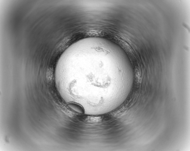 X0000093410665200711020956