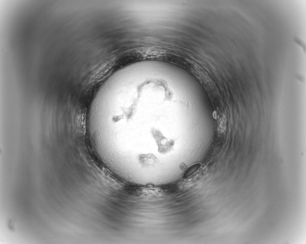 X0000093410666200711020956