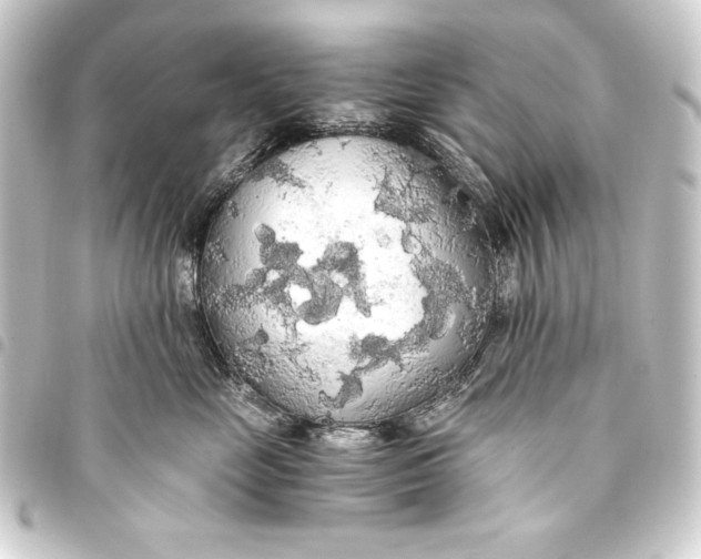 X0000093410669200711020956